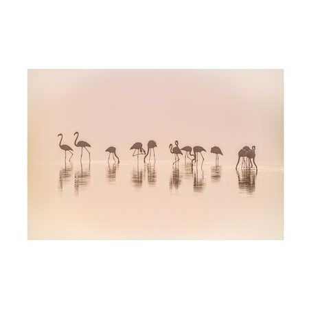 Jeffrey C Sink 'Flamingos In The Mist' Canvas Art, 16x24